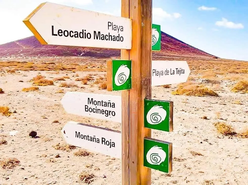Brisa de El Médano beach